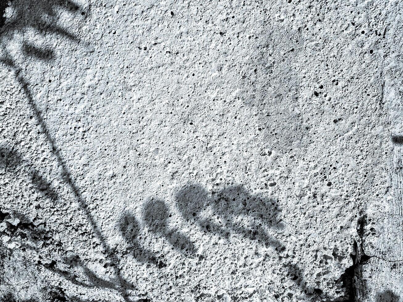 stark, black and white image of a tree branch shadow cast on a rough, textured concrete wall. Perfect for minimalist or abstract design projects. photo