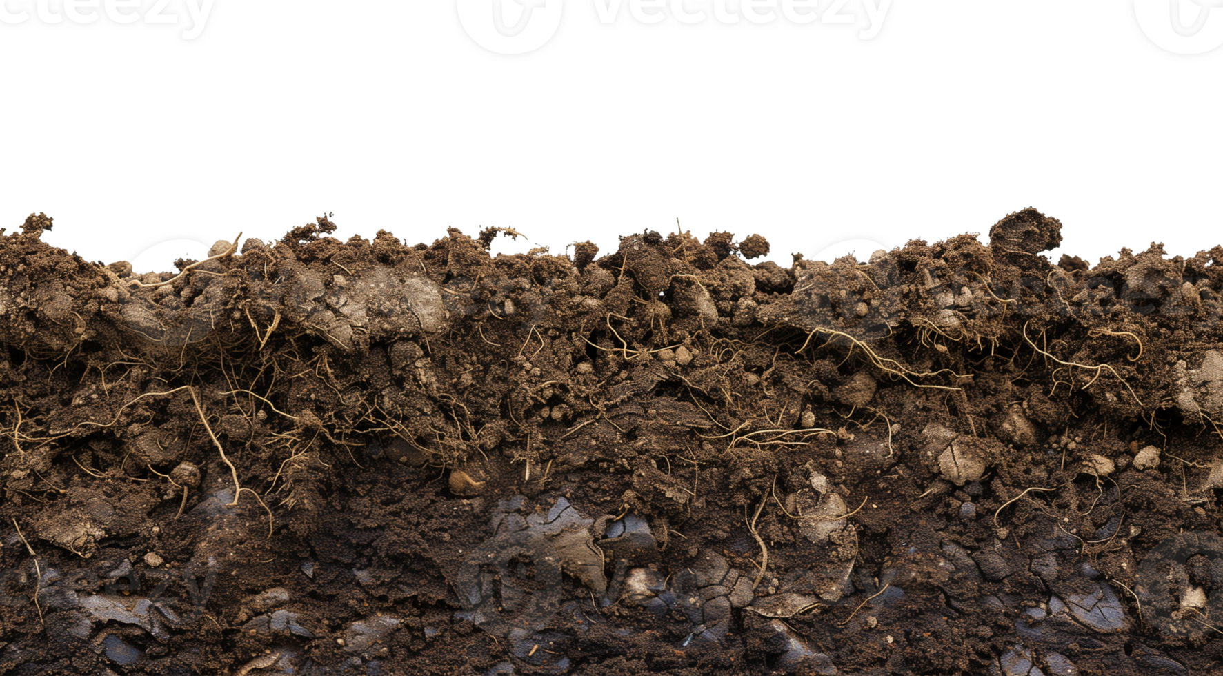 Soil Horizontal Isolated on Transparent Background png