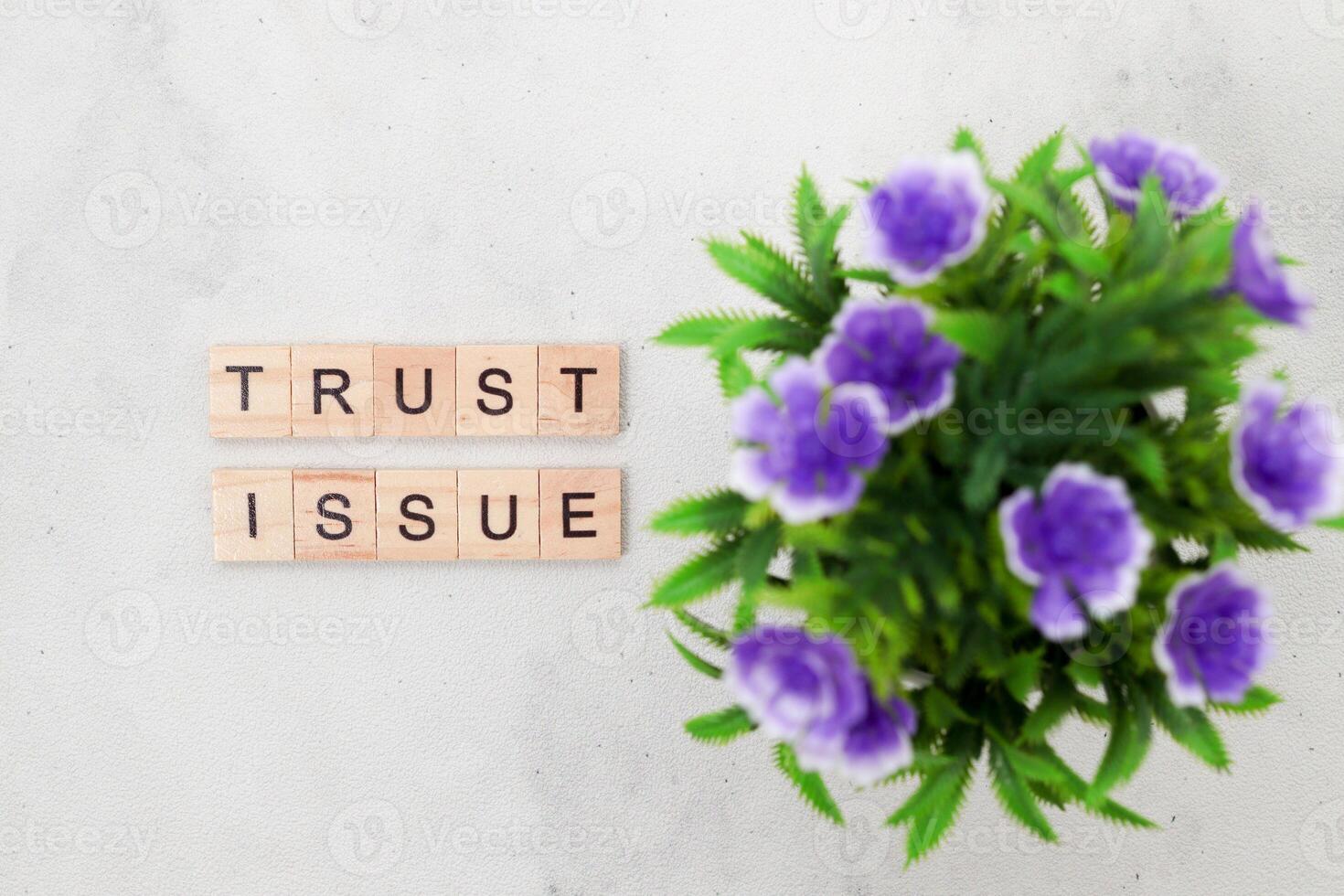 Top view of Trust Issue word on wooden cube letter block on white background. Business concept photo