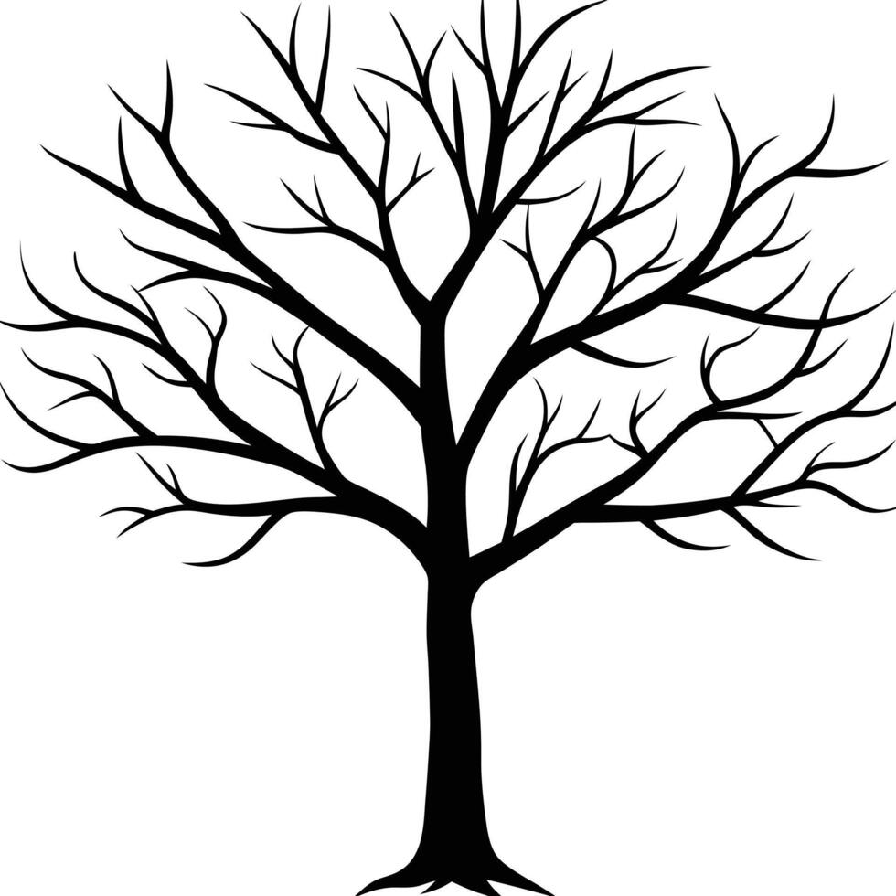 Silhouette of Tree without leaves vector