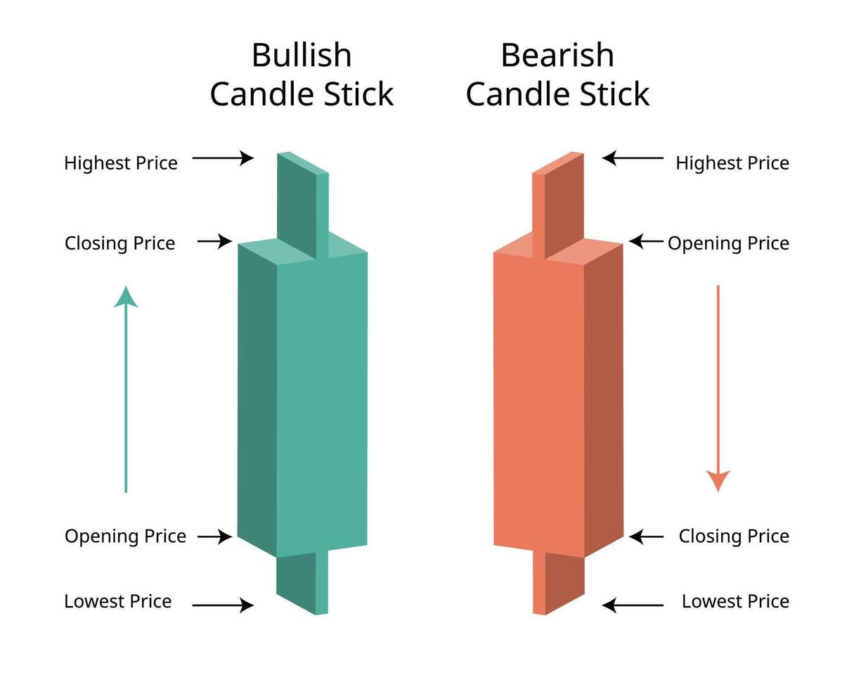comparison of bullish candle stick and bearish candle stick for investment vector
