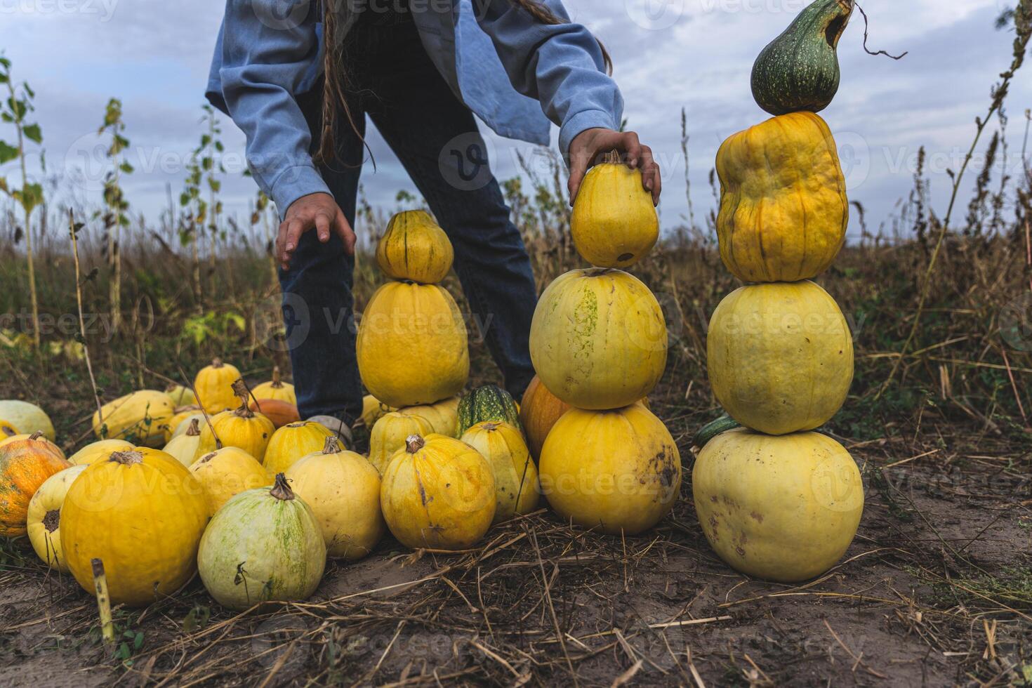 Children build a pumpkin tower in a field in the village in the evening photo