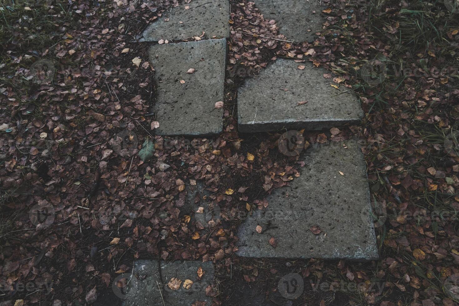 Old paving slabs sticking out of the ground covered with dry foliage photo