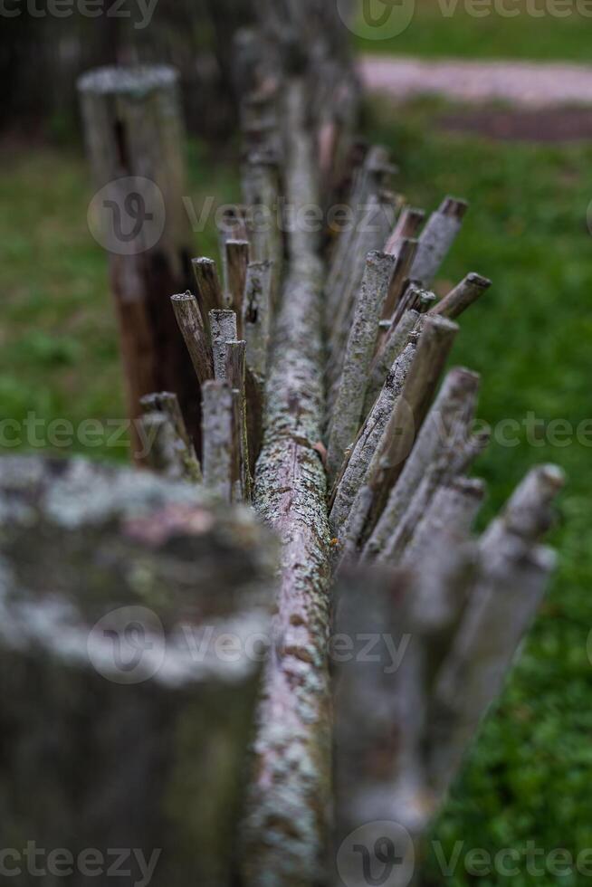 A fence made of vines. A fence made of branches. An Old Slavic fence of branches photo