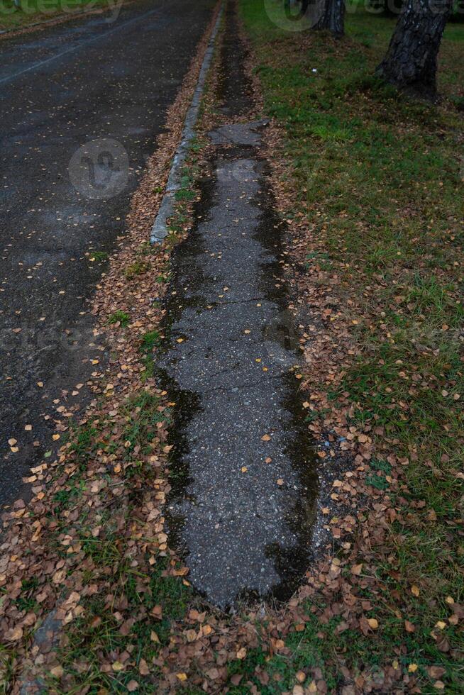 A broken curb on an old paved road. A road sprinkled with dry leaves photo