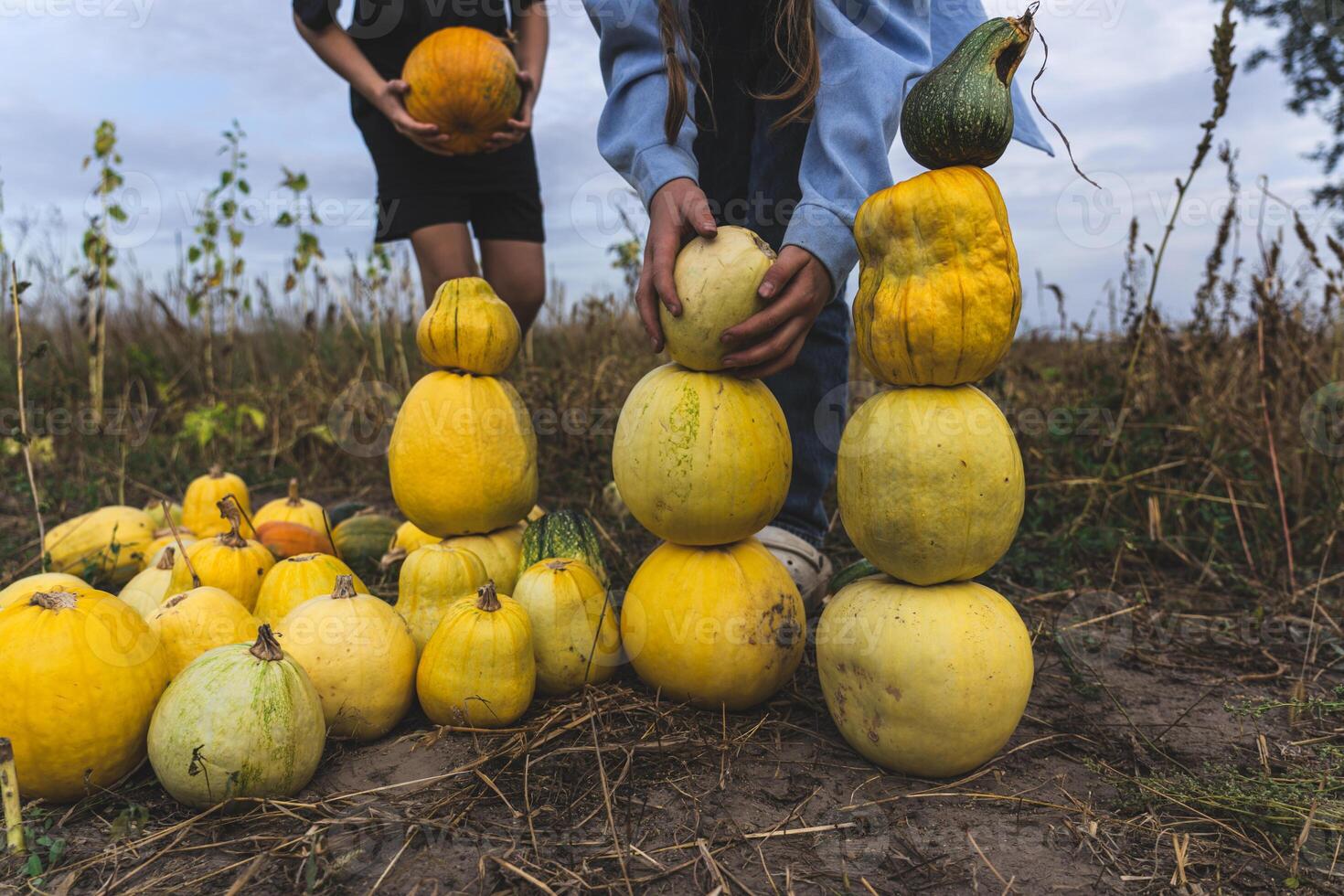 Children build a pumpkin tower in a field in the village in the evening photo