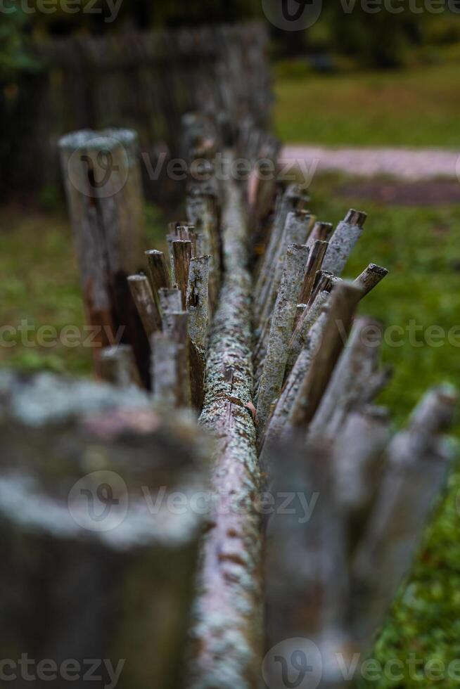 A fence made of vines. A fence made of branches. An Old Slavic fence of branches photo
