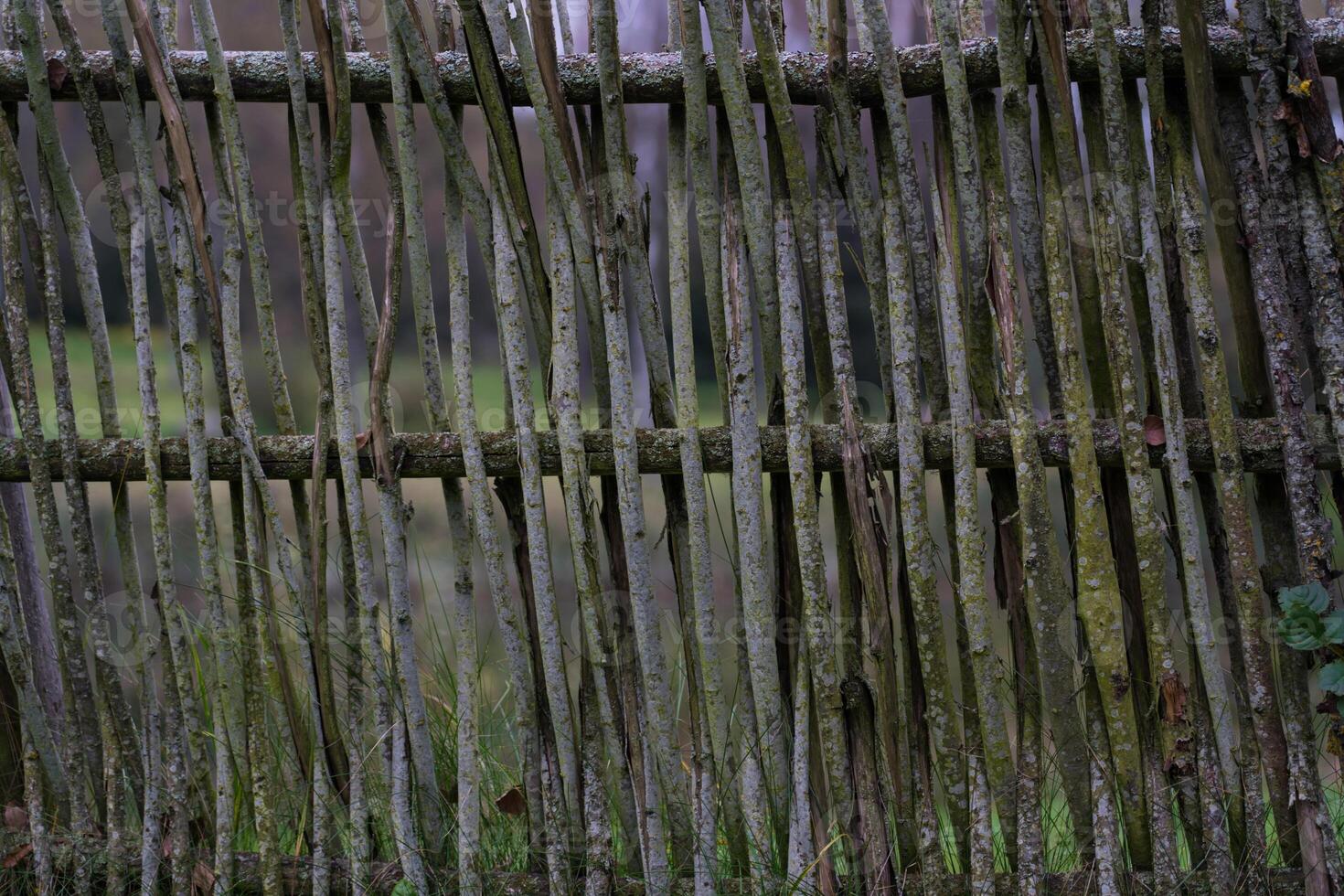 A fence made of vines. A fence made of branches. Old Slavic fence photo