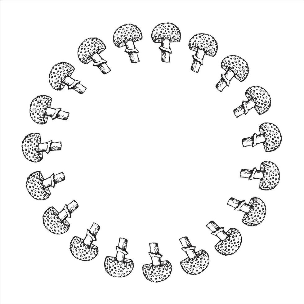 Round frame made of hand-drawn mushroom in black ink on a white background vector
