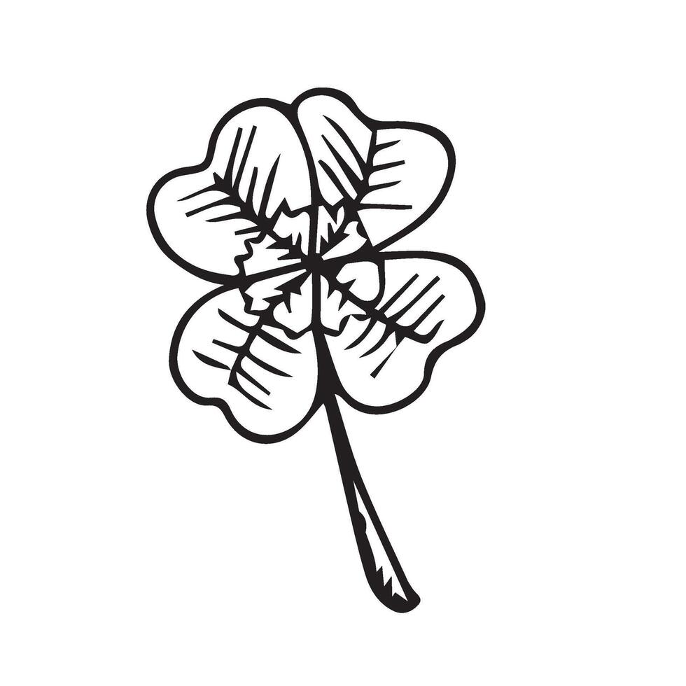 A leaf of clover hand-drawn in black ink on a white background vector