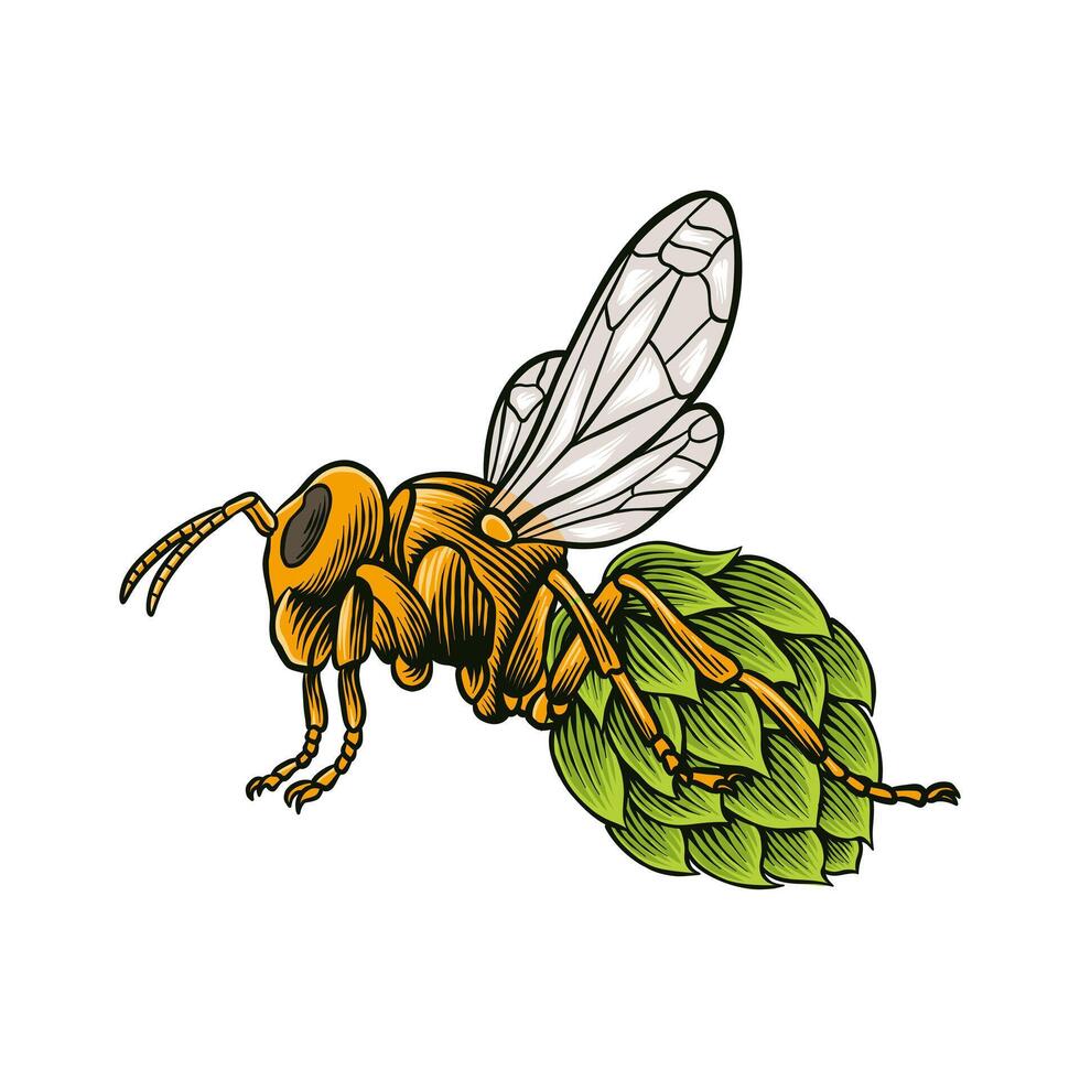 colored illustration of bees and hops vector