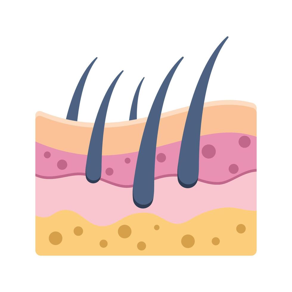 Hair follicle symbol grow graphic design illustration vector