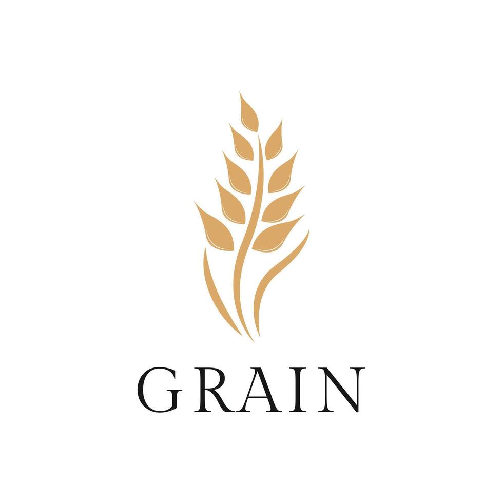 wheat grain logo design creative idea vector