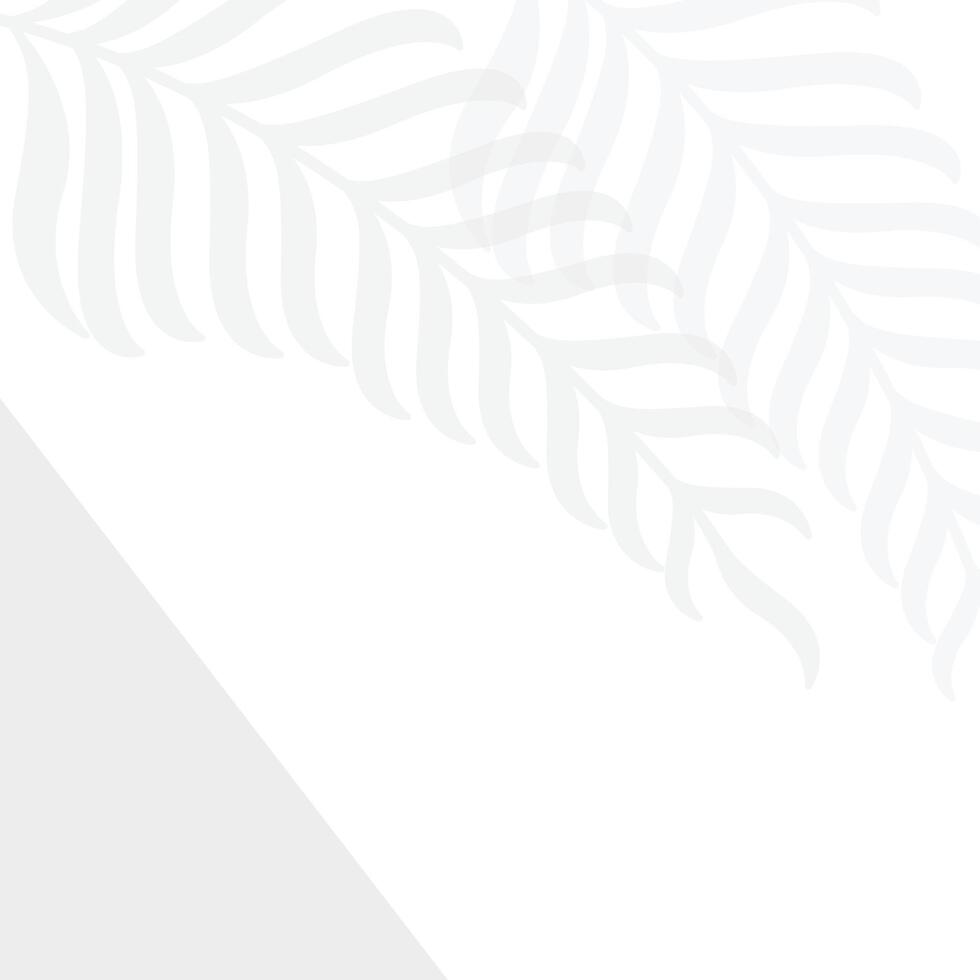 palm leaf tree leaves background design template vector