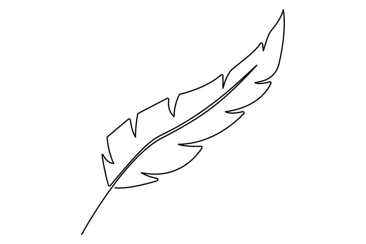 Elegant feather outline in single continuous line art vector