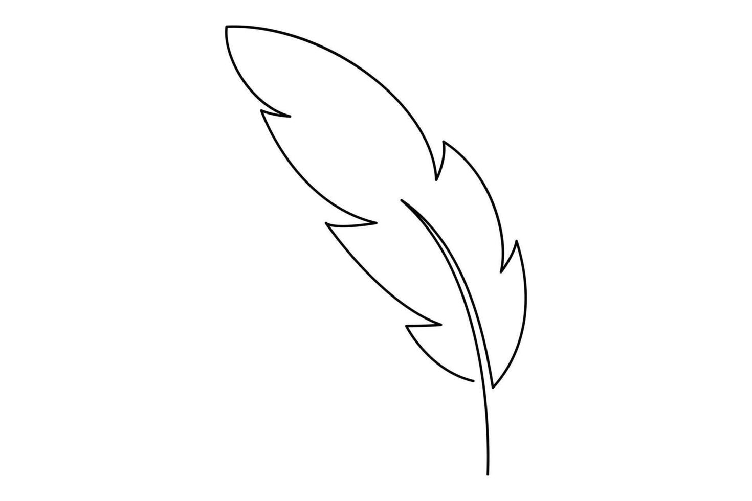 Simple and elegant one line feather drawing for graphic designs vector