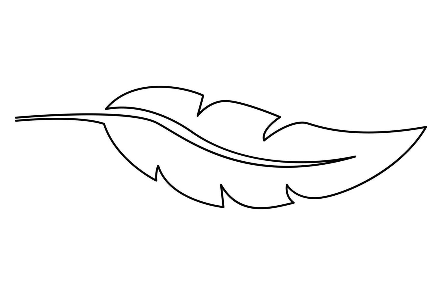 Clean and stylish one line feather drawing for graphics vector