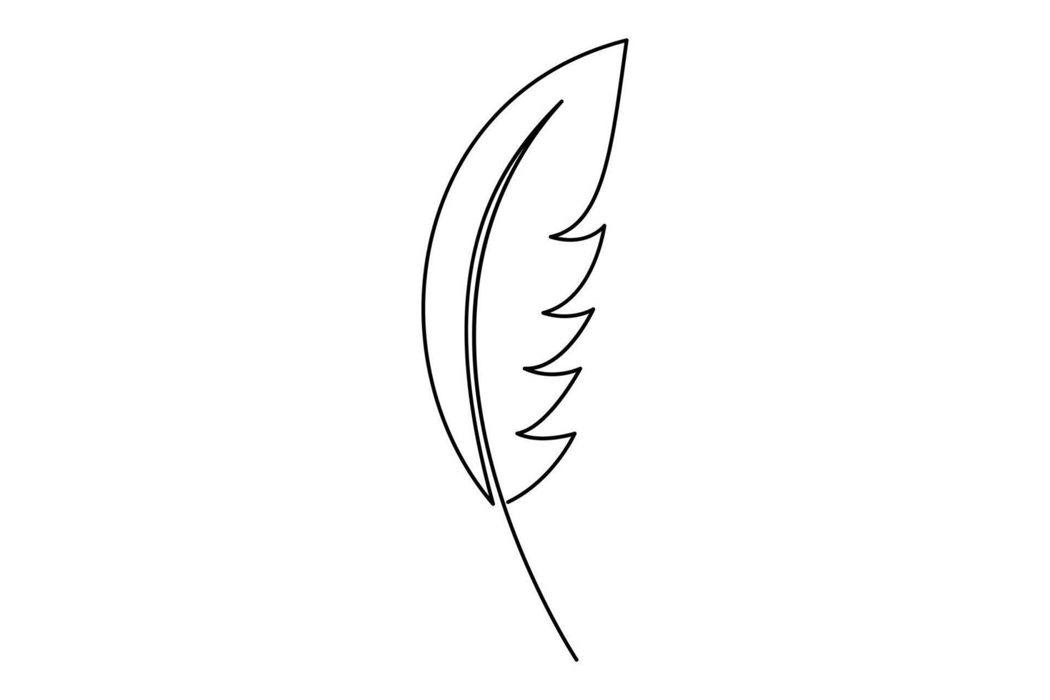 One line feather sketch for modern and creative design vector
