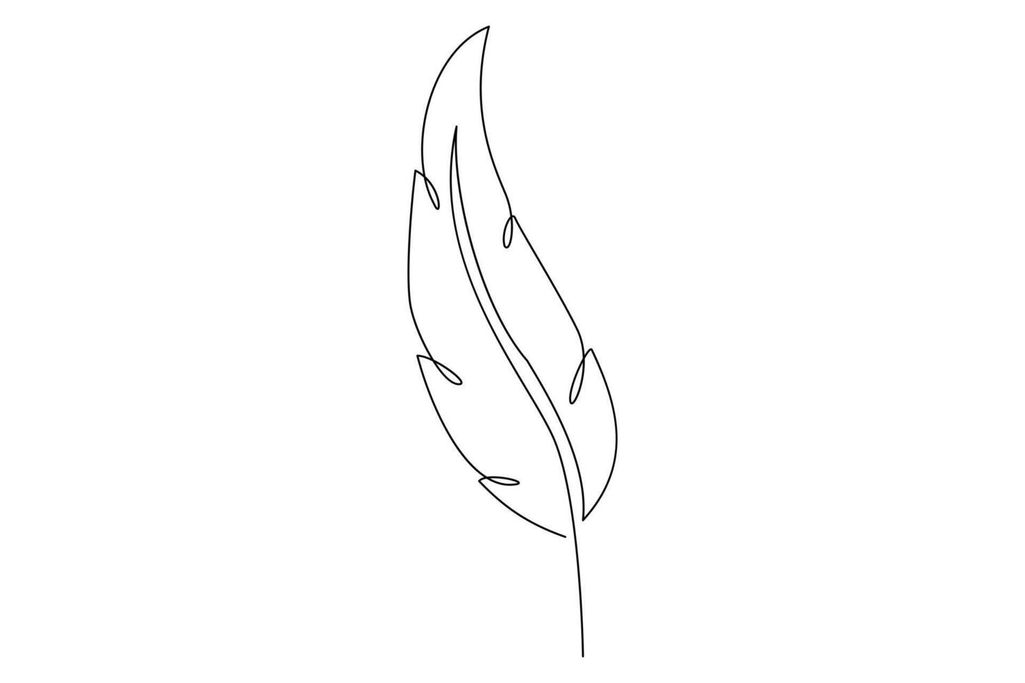 Minimalist feather outline in single continuous line for projects vector