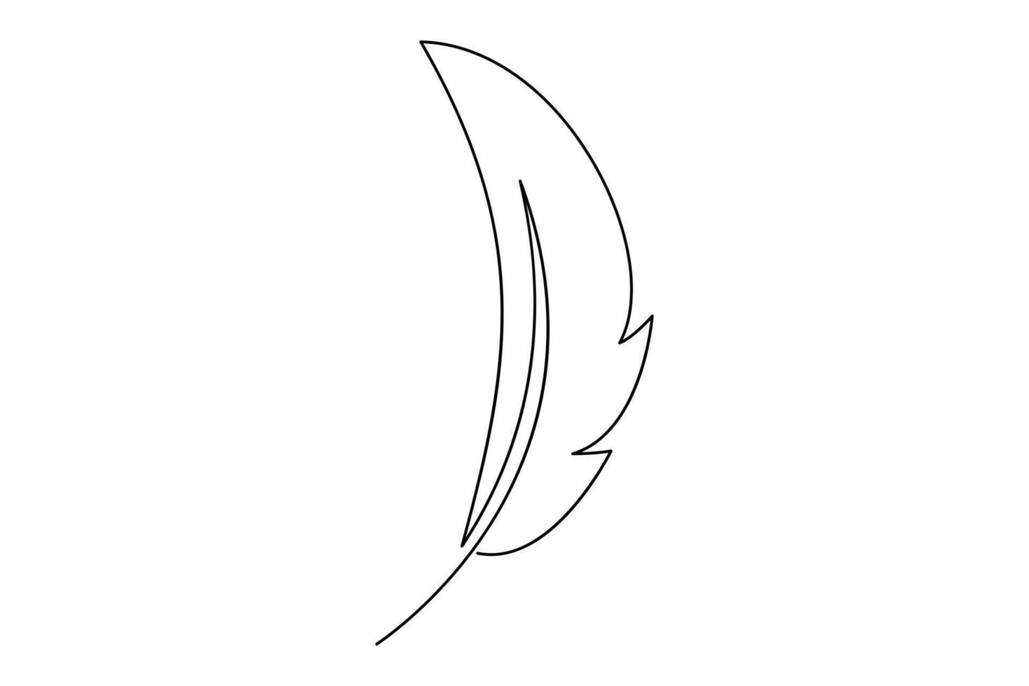 Minimalist one line feather drawing for elegant illustrations vector