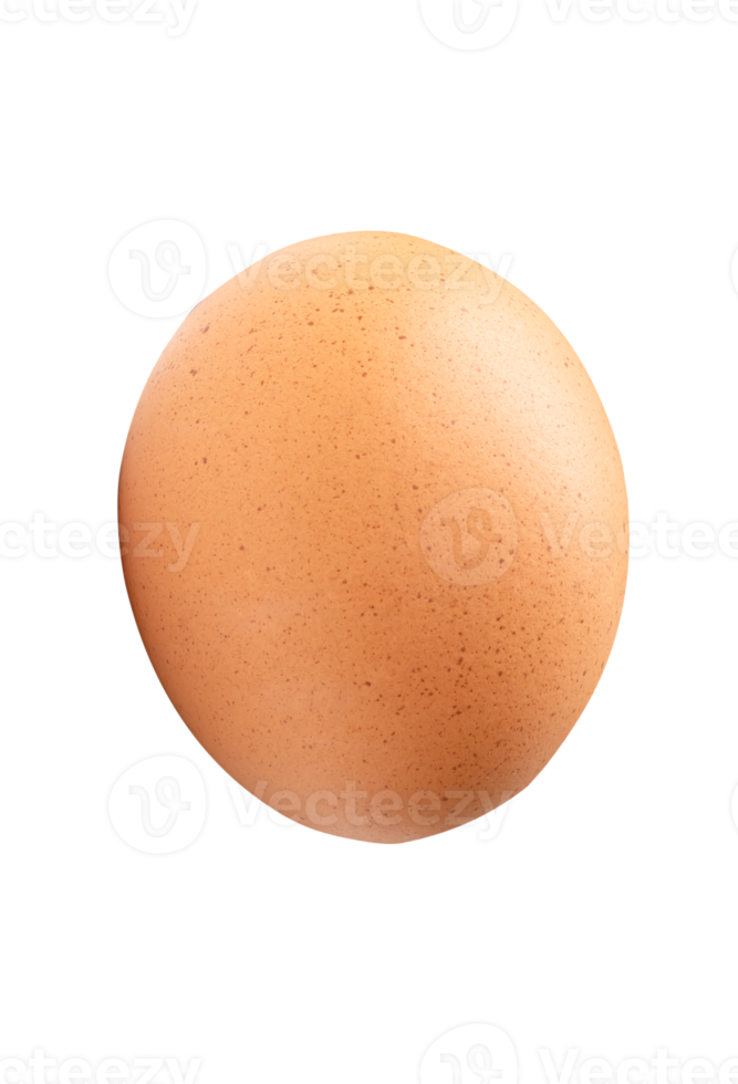 Side view of single brown chicken egg isolated in file format png
