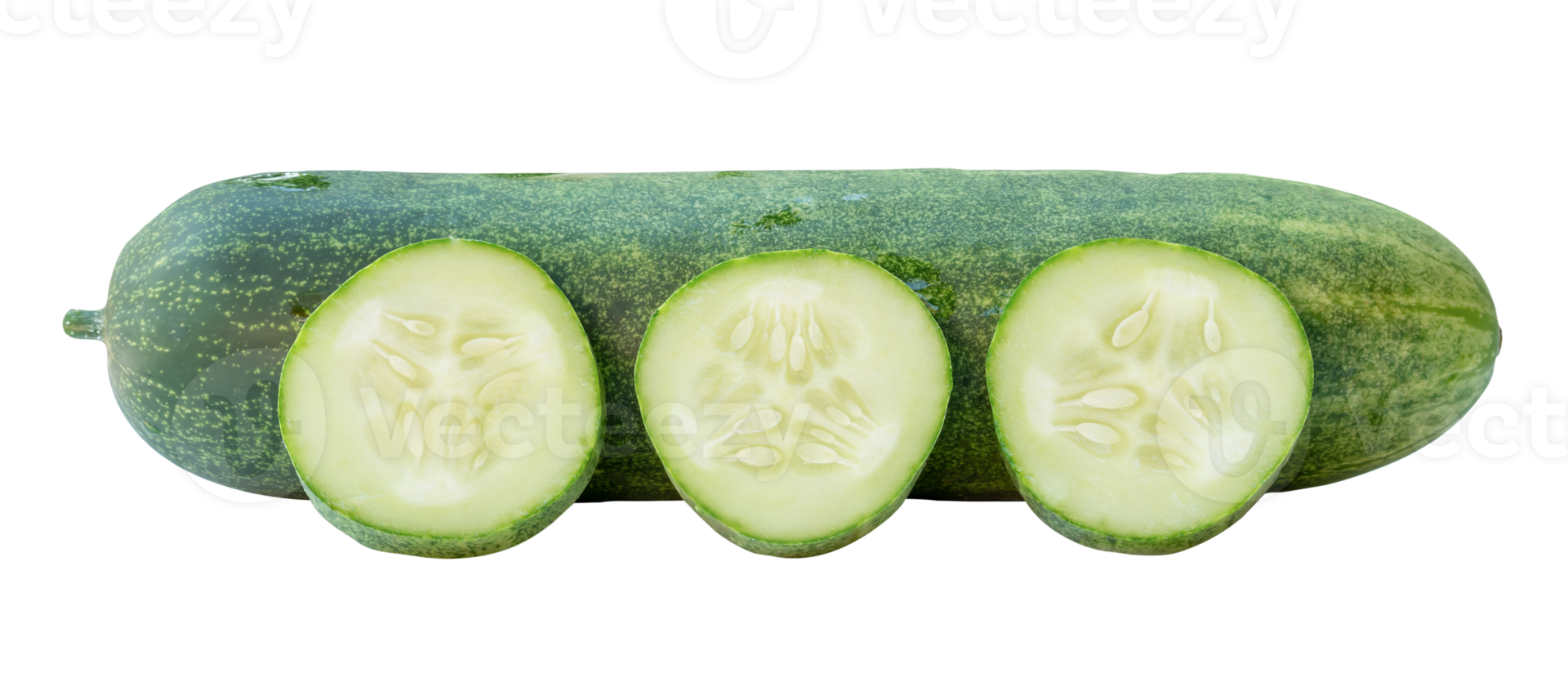 Side view of fresh green cucumber with slices in circle shape in stack isolated with clipping path in file format png
