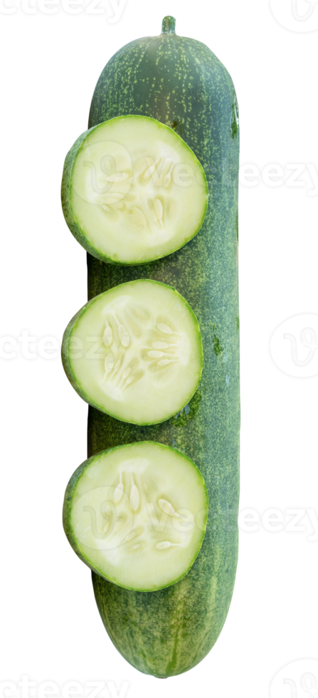 Top view of fresh green cucumber with slices in circle shape in stack isolated with clipping path in file format png