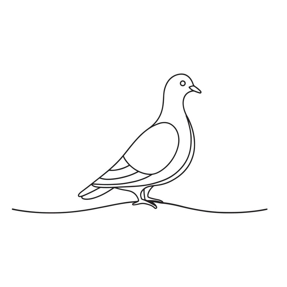 Pigeon bird continuous line art flat illustration on white background. vector