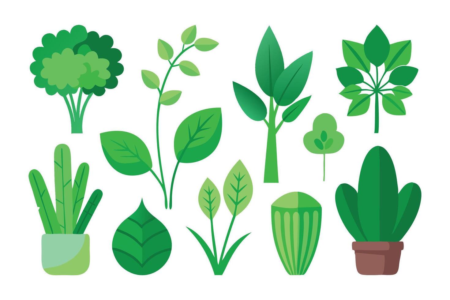 A collection of green plants isolated flat illustration on white background. vector