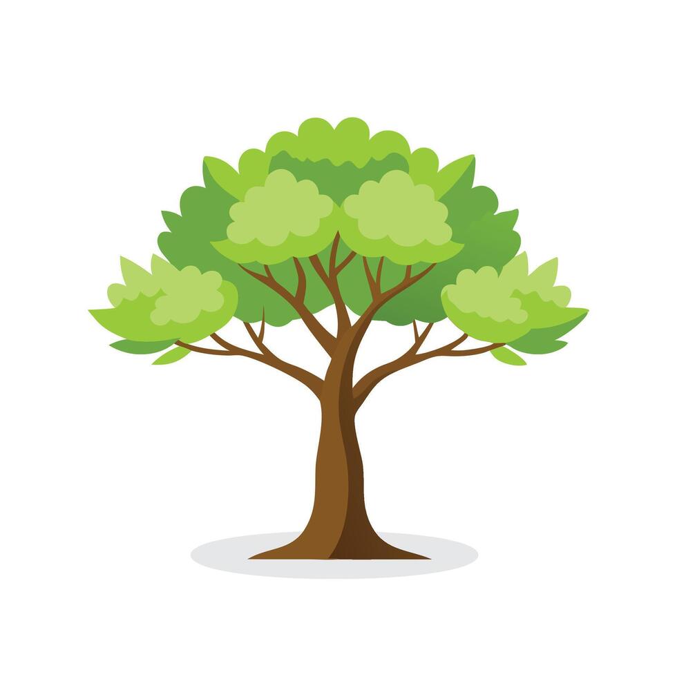 Honeylocust tree isolated flat illustration on white background. vector
