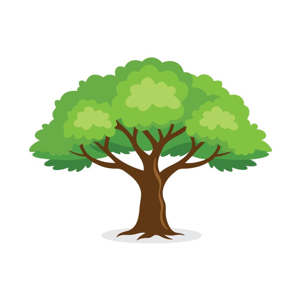 Hawthorn tree isolated flat illustration on white background. vector