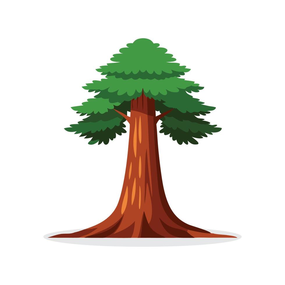 Giant Sequoia tree isolated flat illustration on white background vector