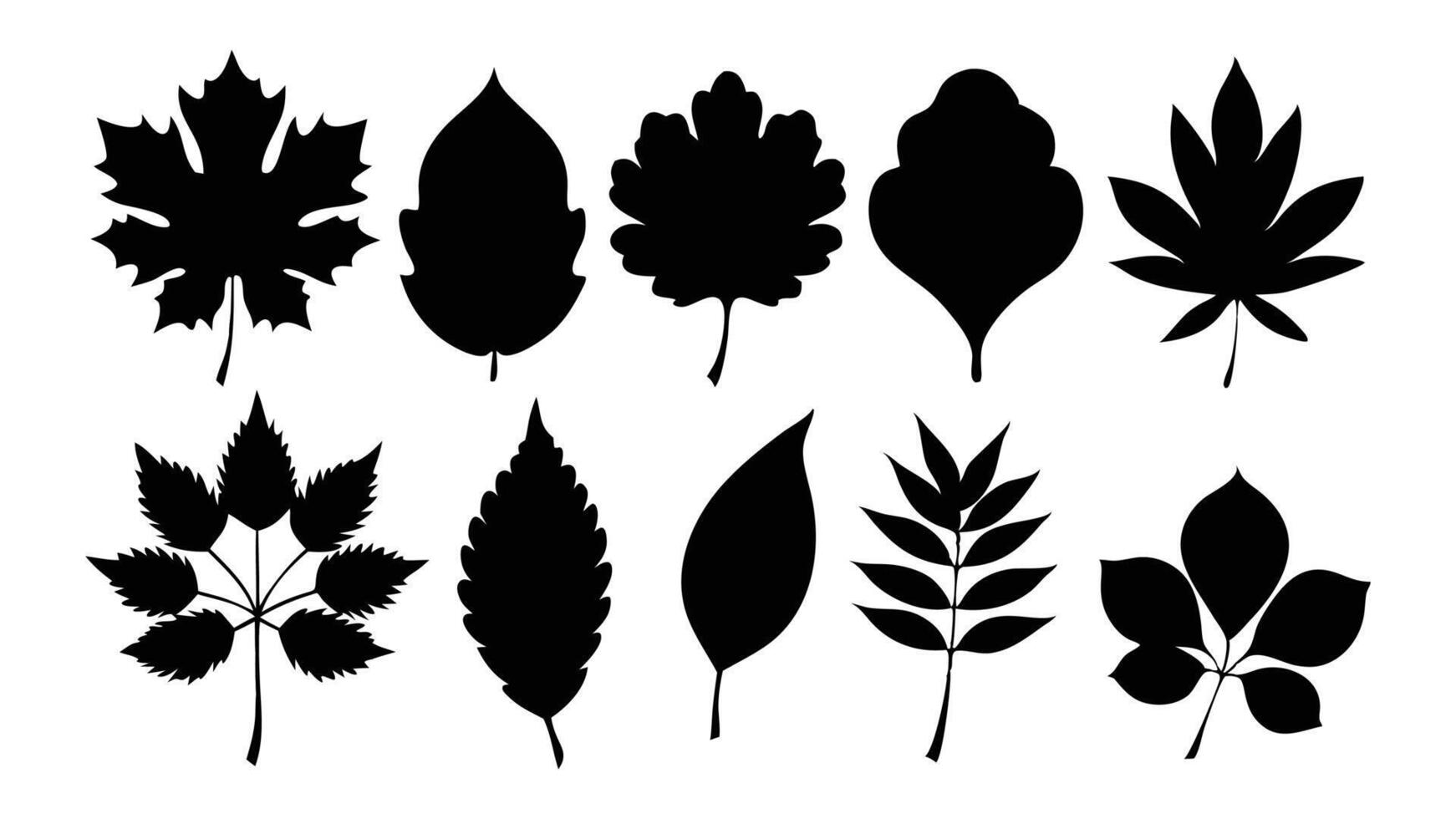 Leaves silhouettes set isolated flat illustration on white background. vector