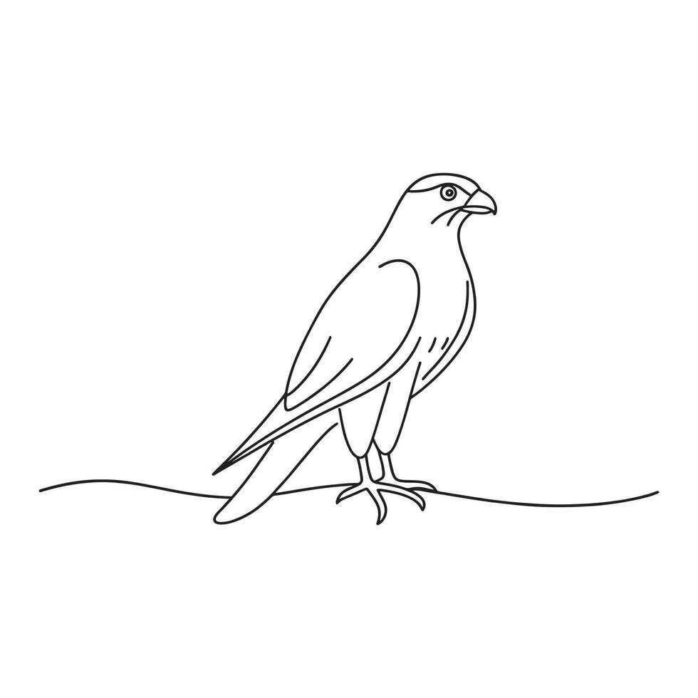 Falcon bird continuous line art flat illustration on white background vector
