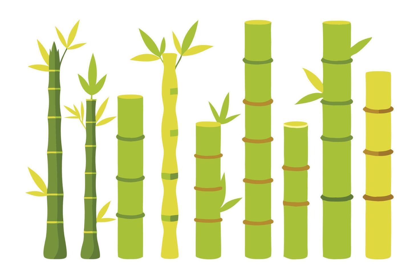 Bamboo set isolated flat illustration on white background. vector