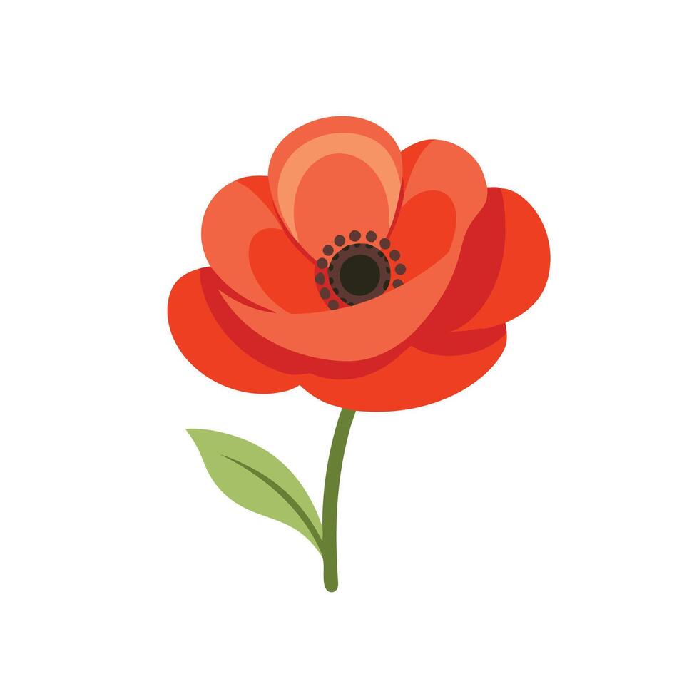 Poppy flower isolated flat illustration on white background. vector