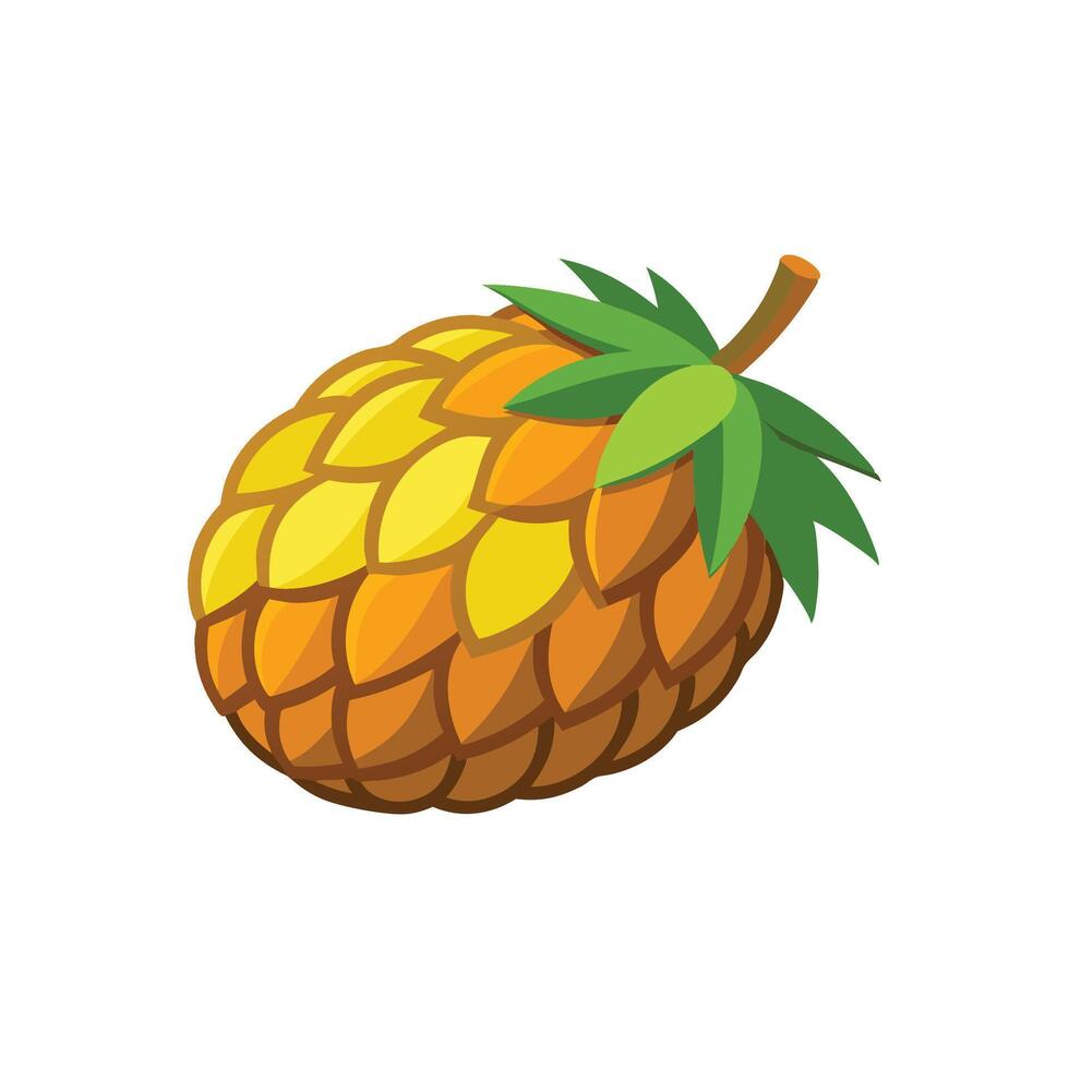 Pindo palm fruit isolated flat illustration on white background. vector