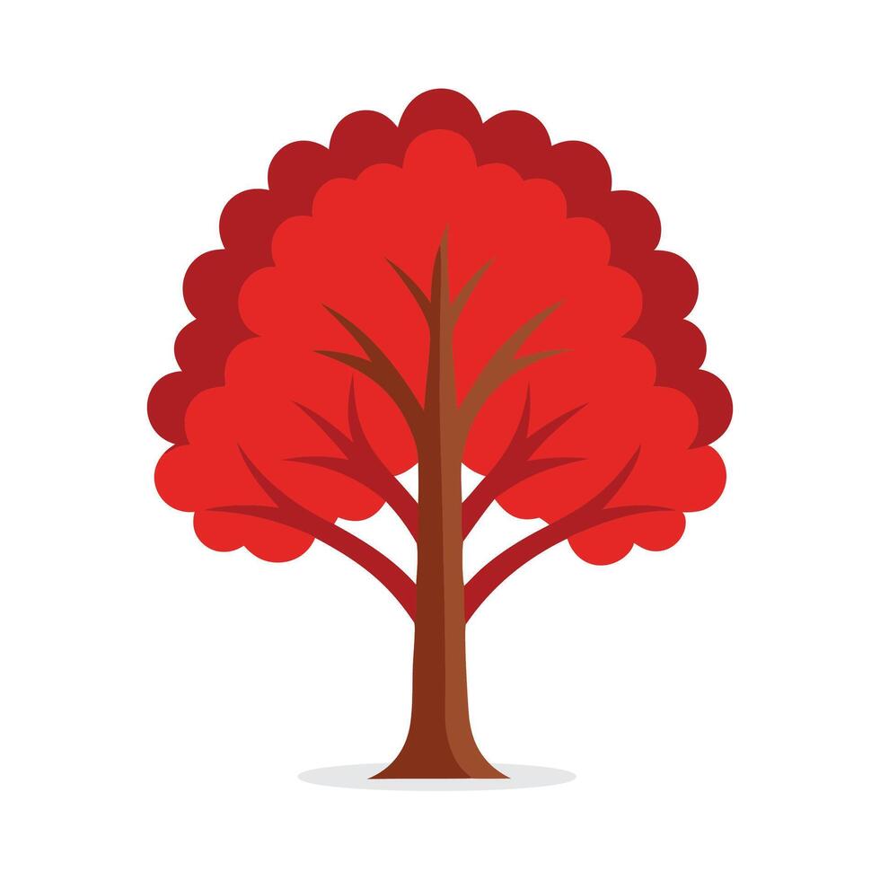Red Alder tree isolated flat illustration on white background vector