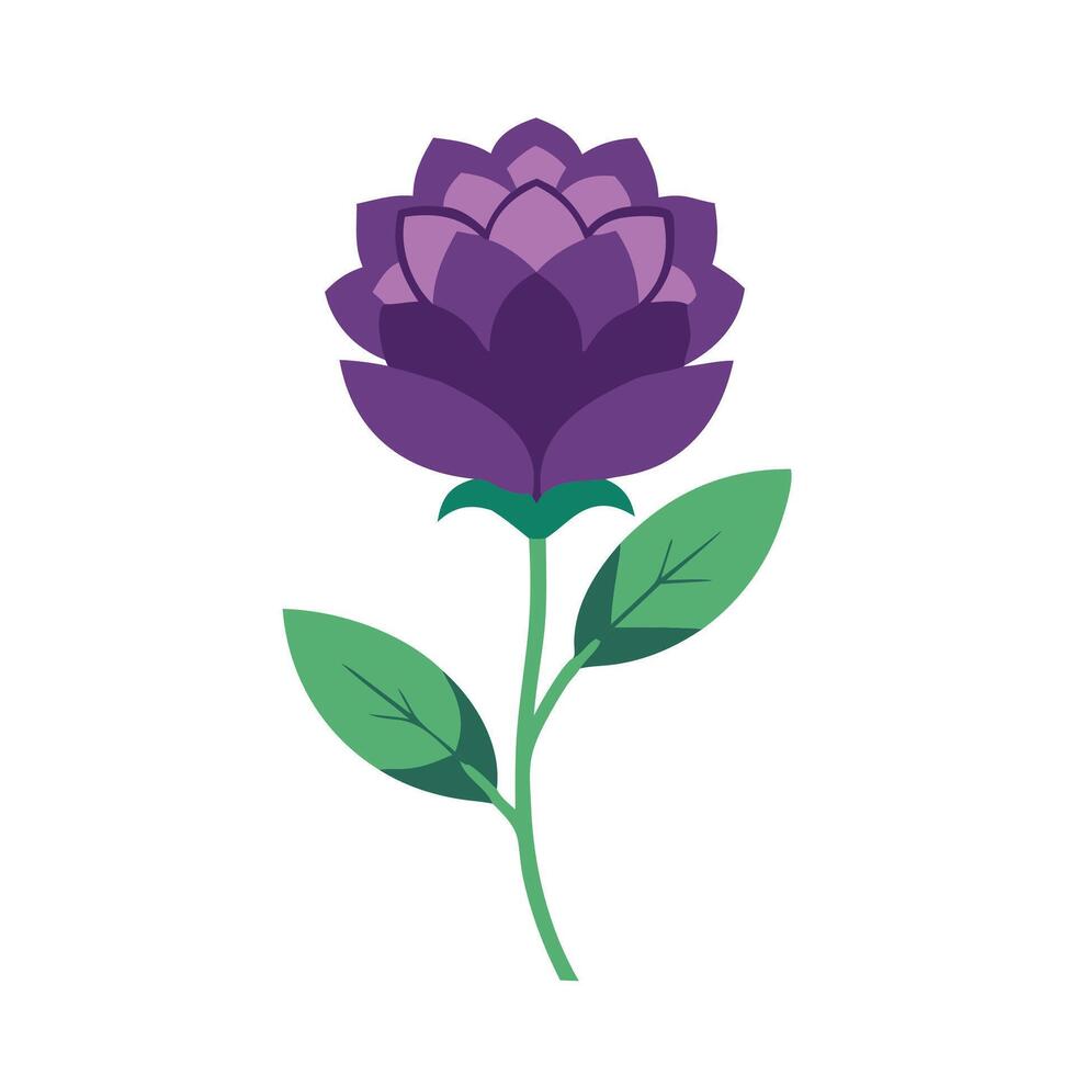 Statice flower isolated flat illustration on white background vector