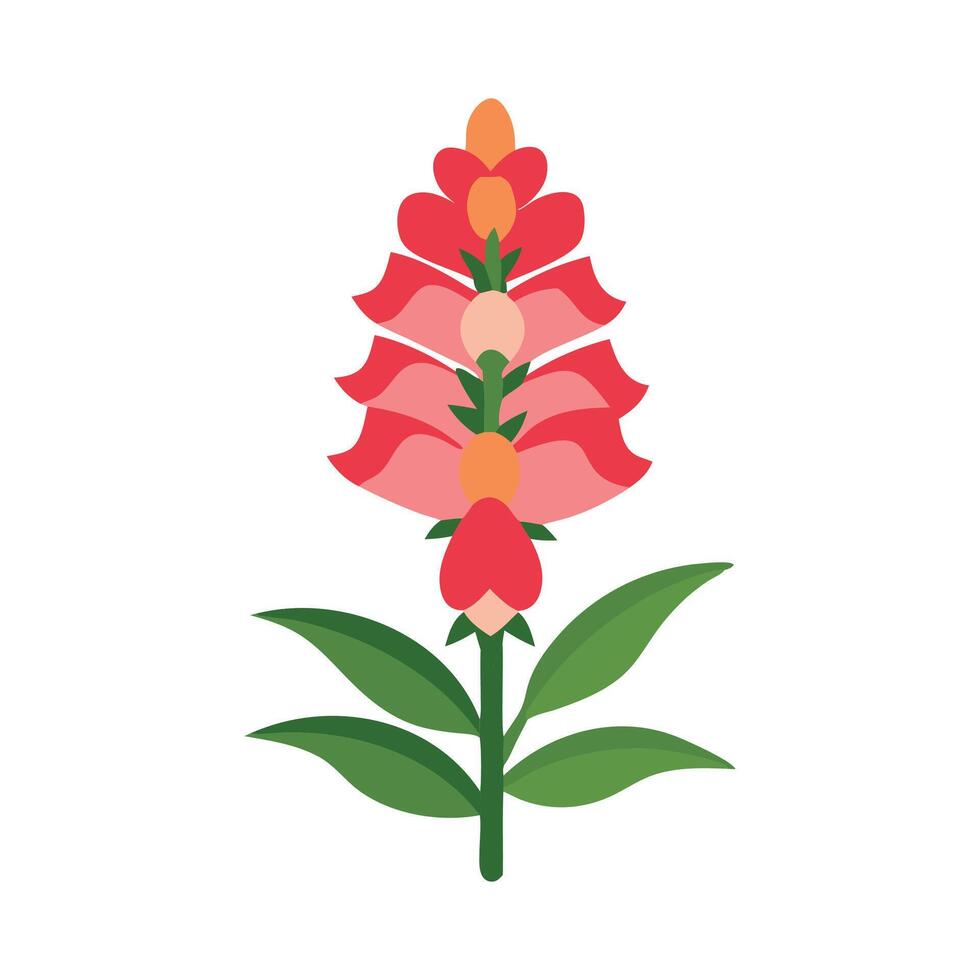Snapdragon flower isolated flat illustration on white background vector