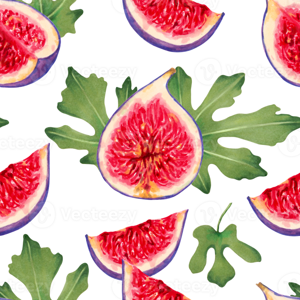 Seamless pattern of fig slices with red pulp and leaves. Botanical illustration with watercolors and markers. Tropical berries background. Hand drawn isolated art. For packaging, fabric, wallpaper png