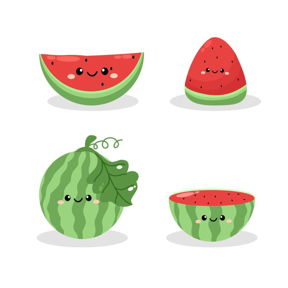 Set of hand drawn watermelon fruit. vector