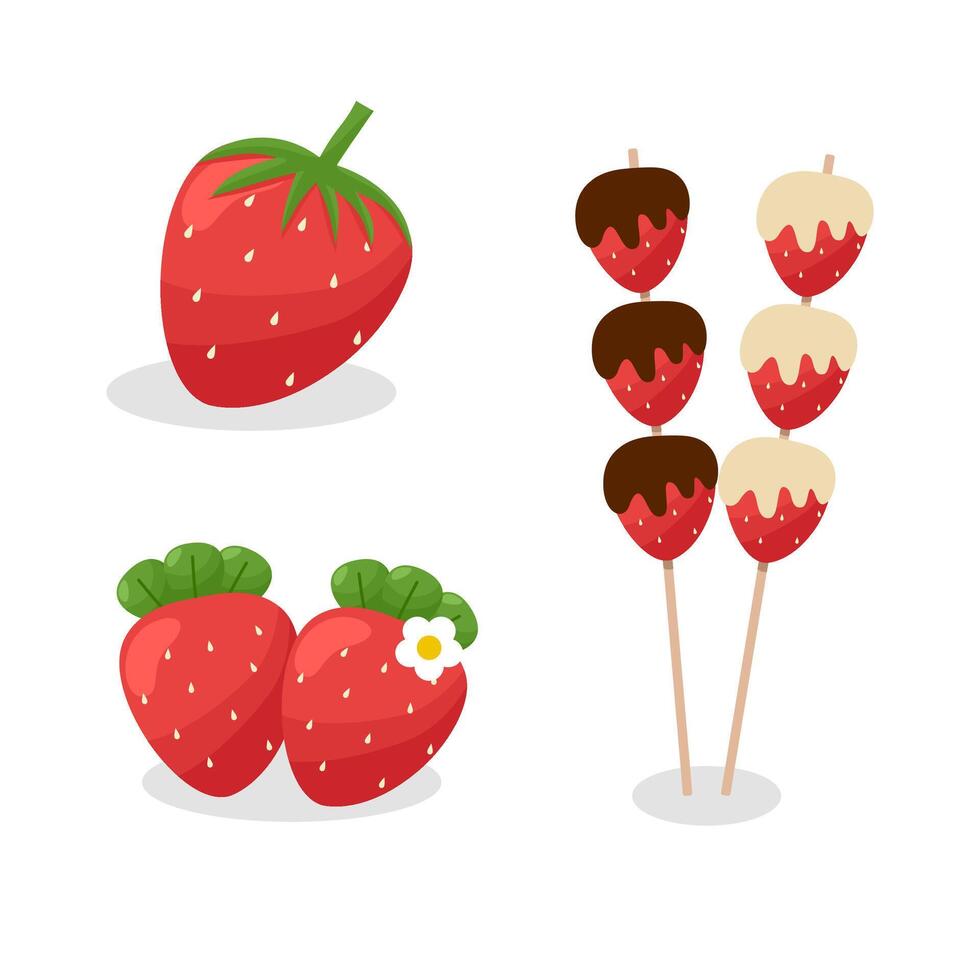 Set of hand drawn strawberry fruit. vector