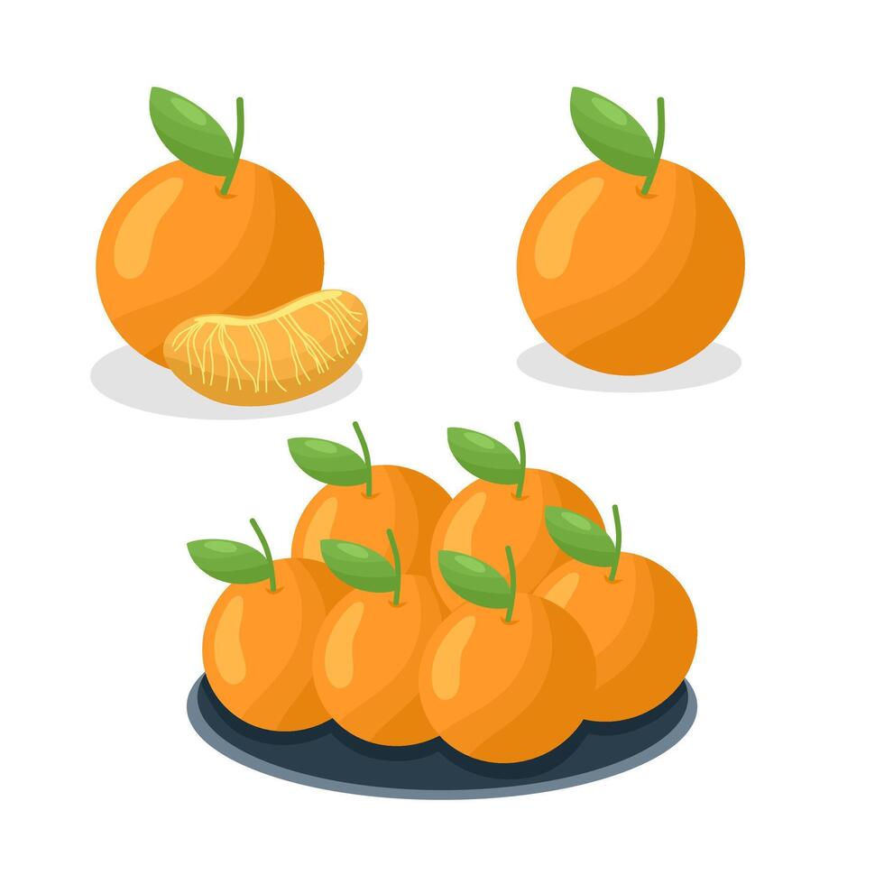Set of hand drawn orange fruit. vector