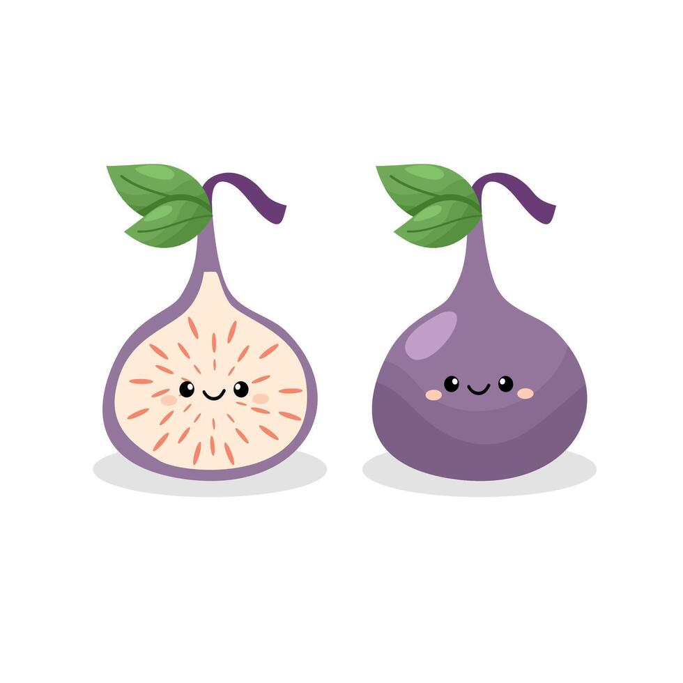 Set of hand drawn common fig fruit. vector