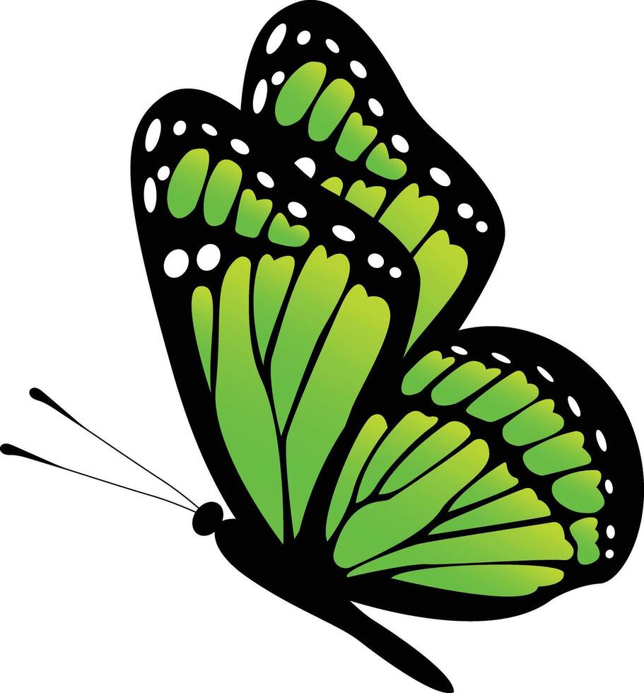 flying butterfly with colorful wings vector