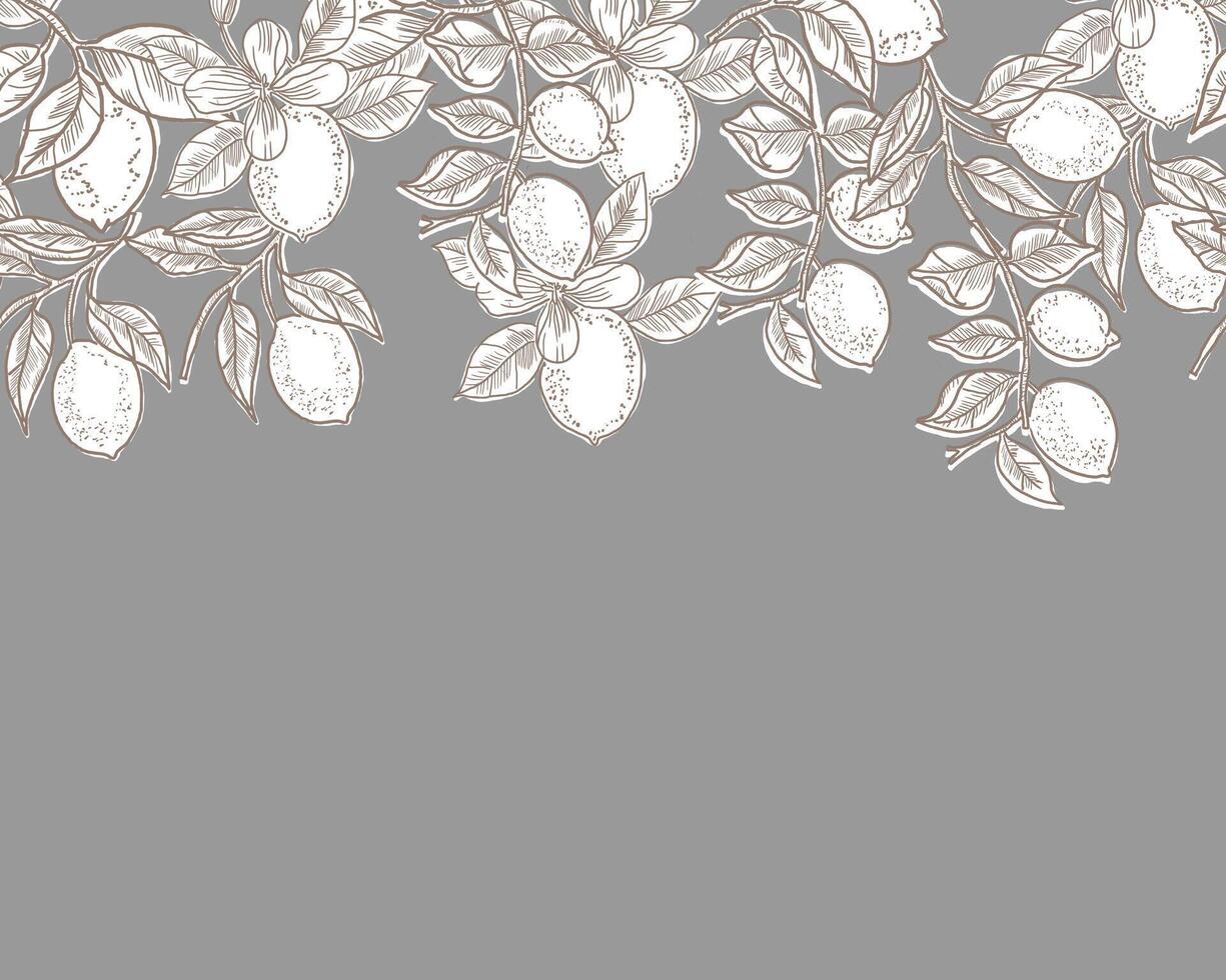 Lemon Hand Drawn Illustration Background vector