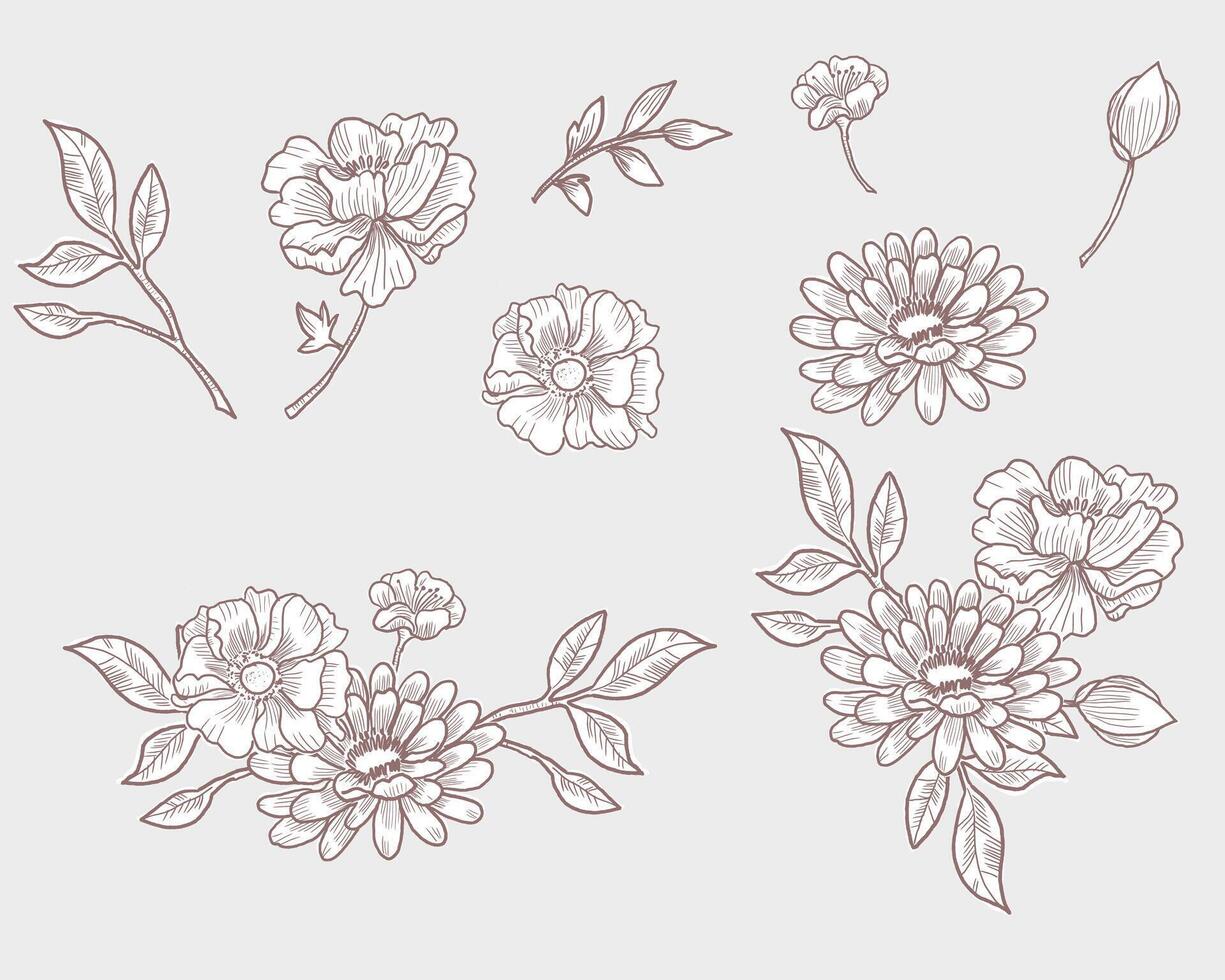 Hand Drawn Dahlia and Anemone Flower vector