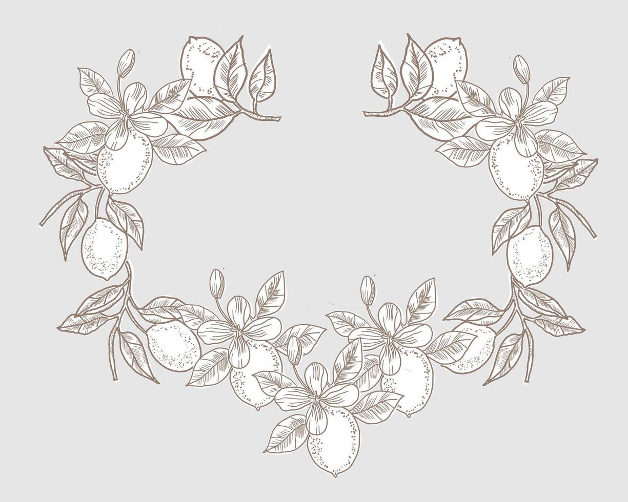 Lemon Hand Drawn Illustration Wreath vector