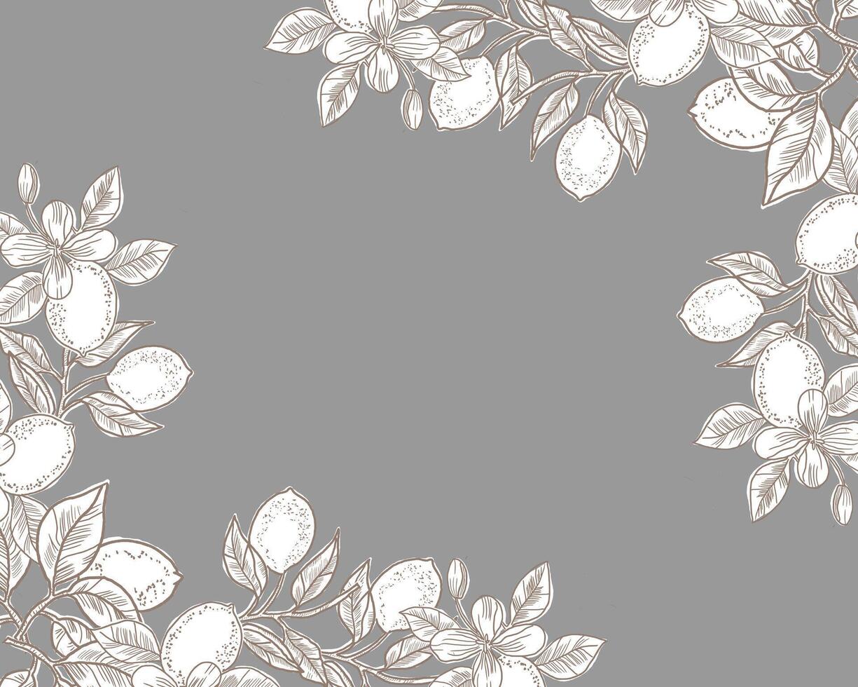 Lemon Hand Drawn Illustration Border vector